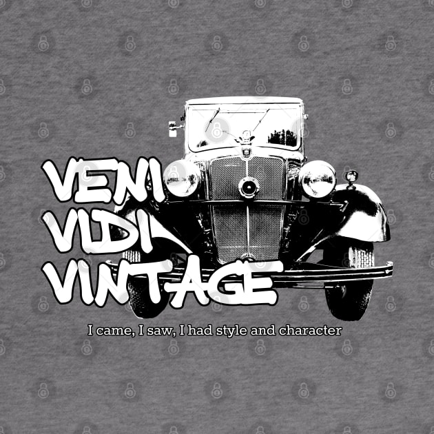 Veni Vidi Vintage - I came, I saw, I had style and character by soitwouldseem